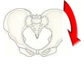 (4)骨盤が体の下方に下がってしまった状態